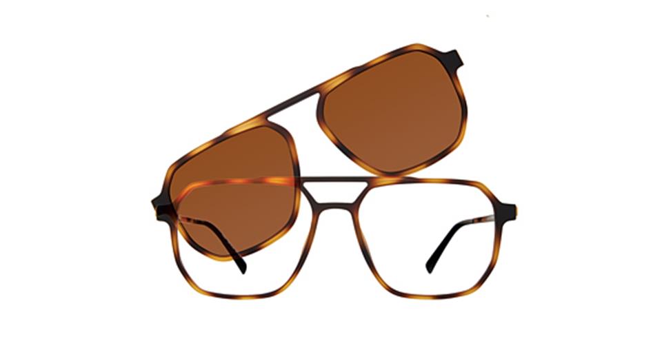 Vivid 6031